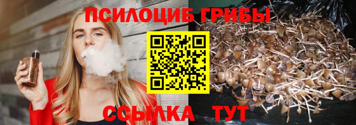 Мелеуз  Псилоцибиновые грибы GOLDEN TEACHER  Вход с VPN 