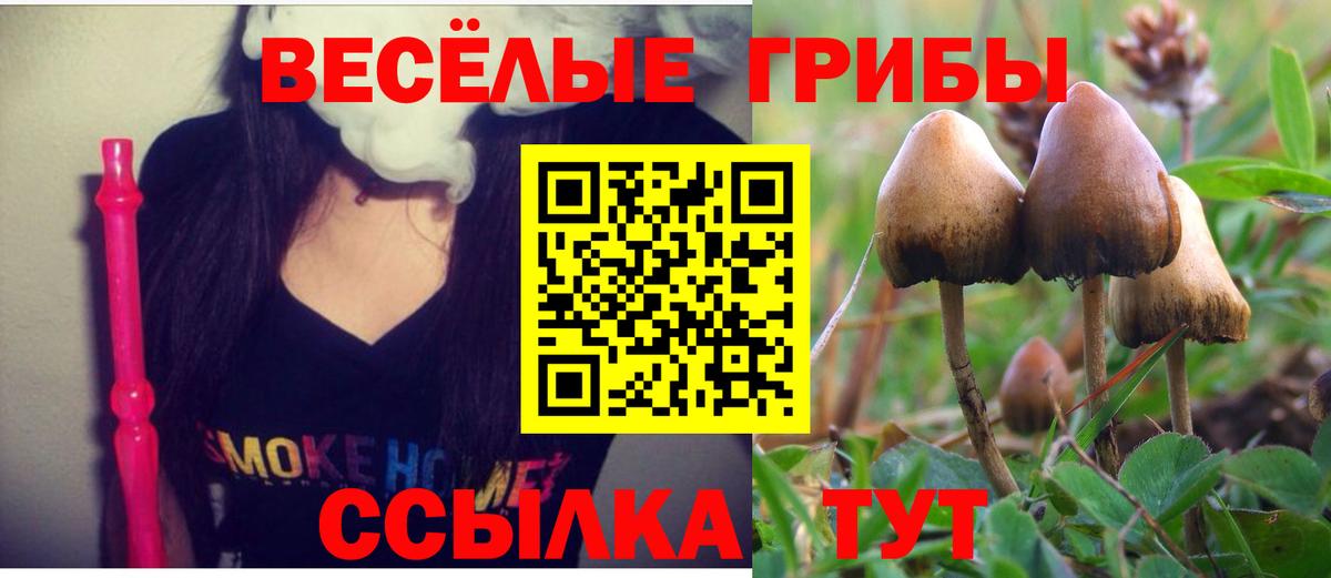Псилоцибиновые грибы Psilocybine cubensis Мелеуз